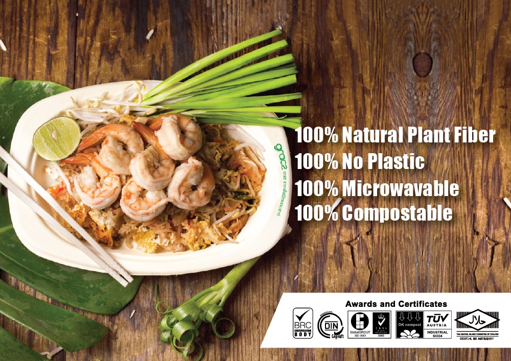 100 percents natural plant fiber packaging Gracz Malaysia